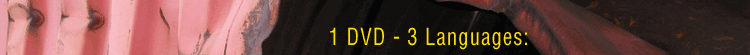 1 DVD- 3 Languages